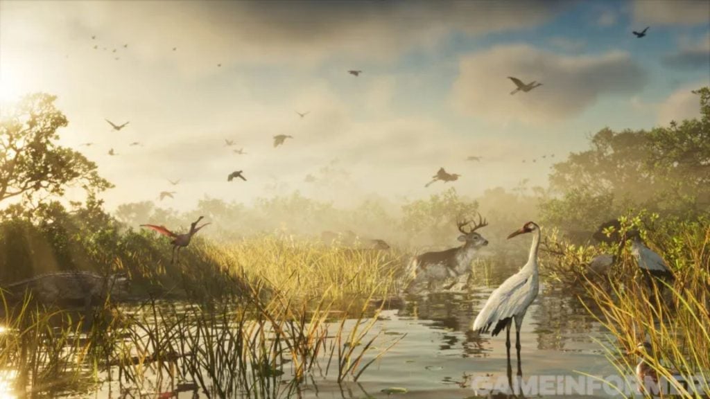 Fauna de los humedales. Aves zancudas y otros animales ocupan un paisaje de agua y vegetación.